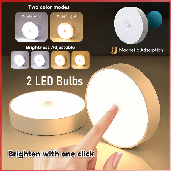 LED Motion Sensor Light